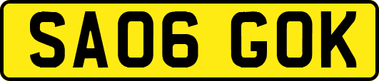 SA06GOK