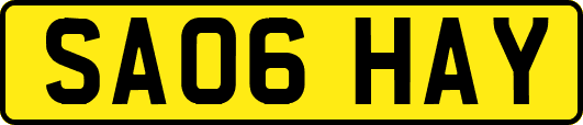 SA06HAY