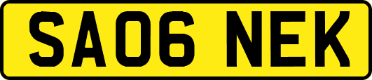 SA06NEK