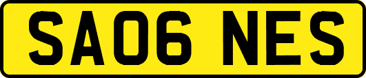 SA06NES