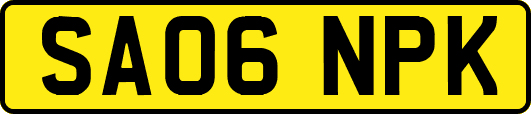 SA06NPK