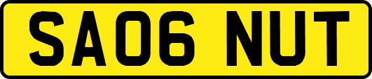 SA06NUT