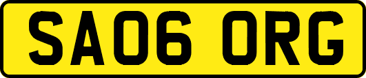 SA06ORG