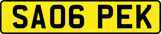 SA06PEK