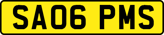 SA06PMS