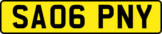 SA06PNY
