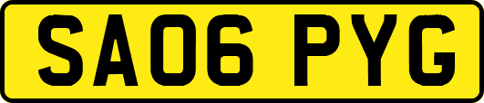 SA06PYG