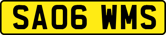 SA06WMS