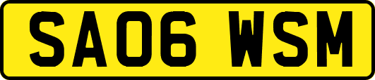 SA06WSM