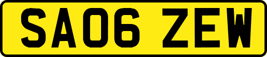 SA06ZEW