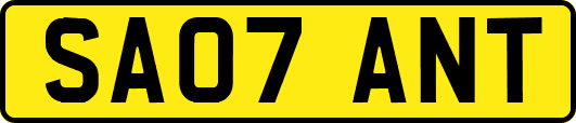 SA07ANT