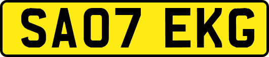 SA07EKG