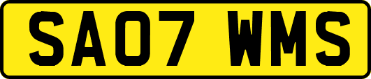 SA07WMS