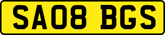 SA08BGS
