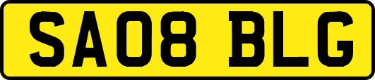 SA08BLG