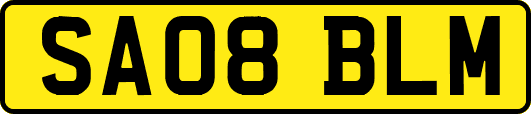 SA08BLM