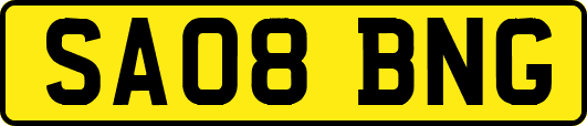 SA08BNG