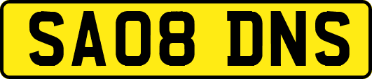 SA08DNS