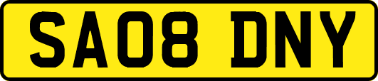 SA08DNY