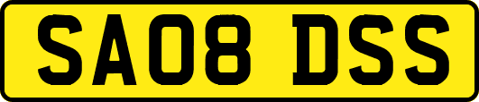 SA08DSS