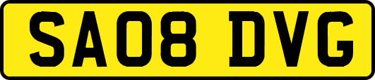 SA08DVG