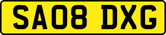 SA08DXG