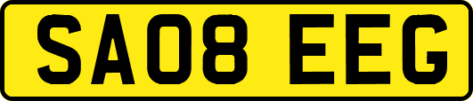 SA08EEG