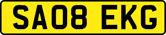 SA08EKG