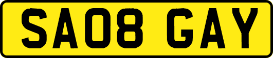 SA08GAY