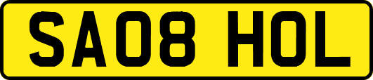 SA08HOL