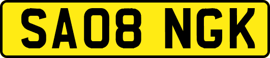 SA08NGK