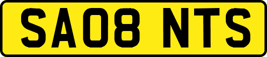 SA08NTS