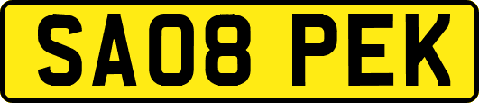 SA08PEK
