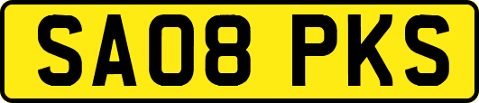 SA08PKS