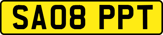 SA08PPT