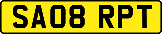 SA08RPT