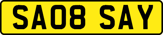 SA08SAY