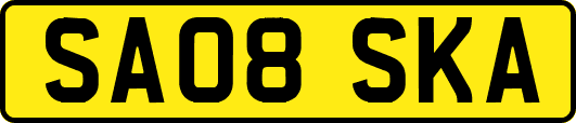 SA08SKA