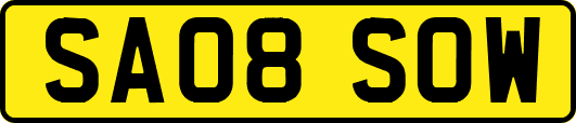 SA08SOW