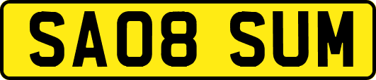 SA08SUM