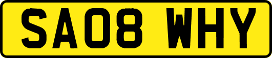 SA08WHY