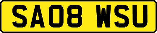 SA08WSU