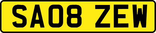 SA08ZEW