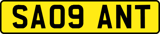 SA09ANT