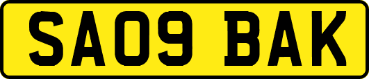 SA09BAK