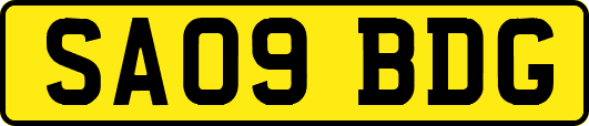SA09BDG