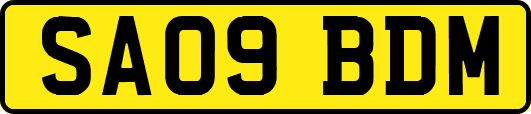 SA09BDM