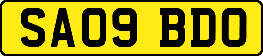 SA09BDO