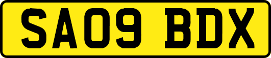 SA09BDX