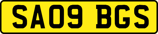 SA09BGS